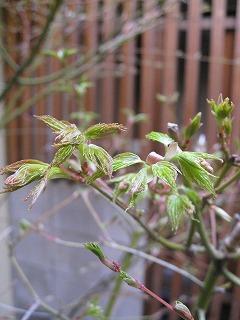 8_IMG_8149.jpg