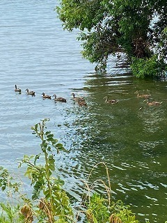IMG_5581xxxx.jpg
